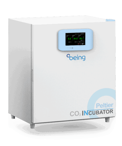 Инкубатор CO₂ с охлаждением BEING, BIO-300E