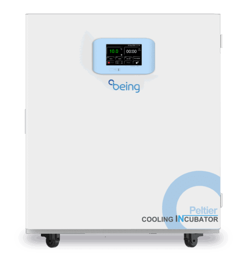 Охлаждающий инкубатор BEING, BEC-250
