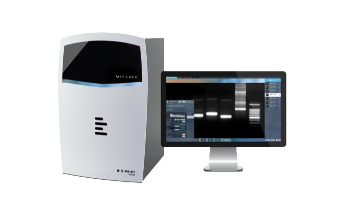 Гельдокументирующая система Bio-Print CX4 Edge, моторизованный зум, без трансиллюминатора