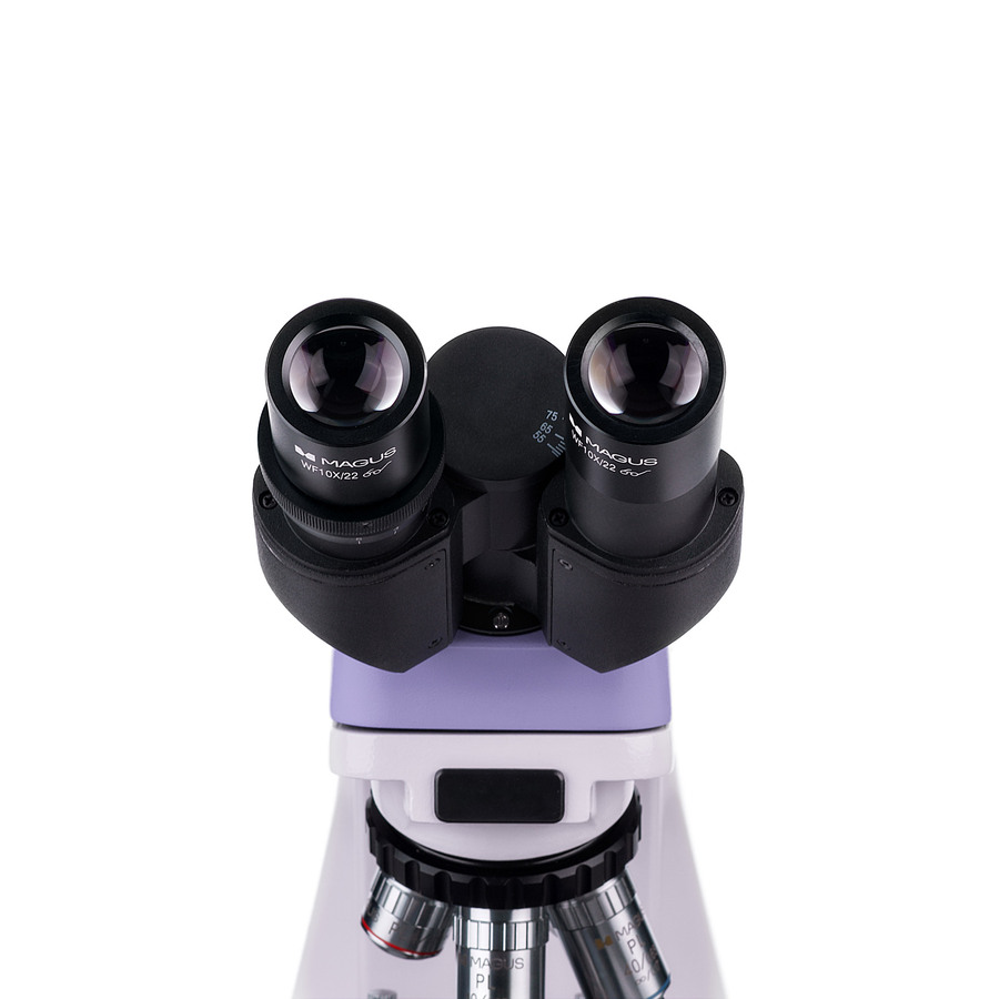 Микроскоп MAGUS Bio 250B, прямой, бинокуляр/тринокуляр, СП, ТП, ФК, Пол, планахромат 4×, 10×, 40×, 100×МИ — изображение 11
