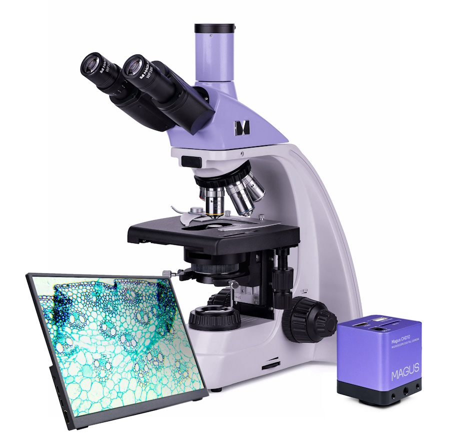 Микроскоп MAGUS Bio 230B, прямой, бинокуляр/тринокуляр, СП, ТП, ФК, Пол, Ахромат 4×, 10×, 40×, 100× МИ — изображение 4
