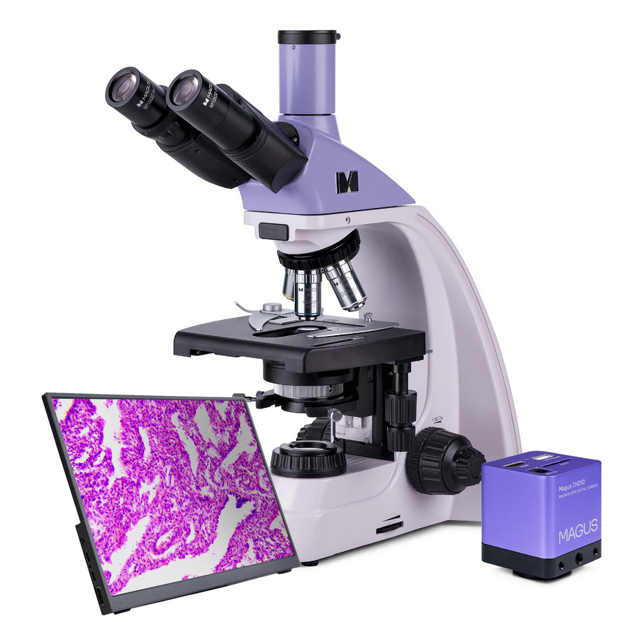 Микроскоп MAGUS Bio 250B, прямой, бинокуляр/тринокуляр, СП, ТП, ФК, Пол, планахромат 4×, 10×, 40×, 100×МИ — изображение 3