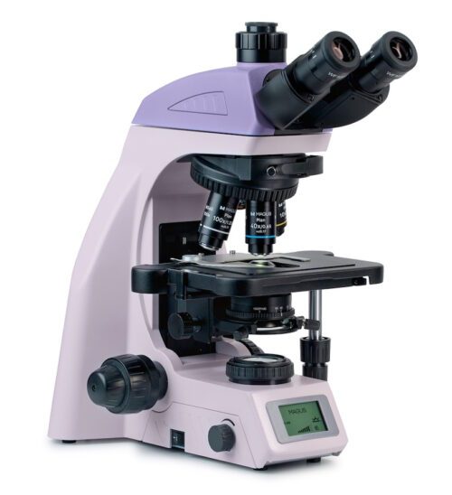Микроскоп MAGUS Bio 260T, прямой, тринокуляр/бинокуляр, СП, ТП, ФК, Пол, планахромат 4×, 10×, 40×, 100×МИ