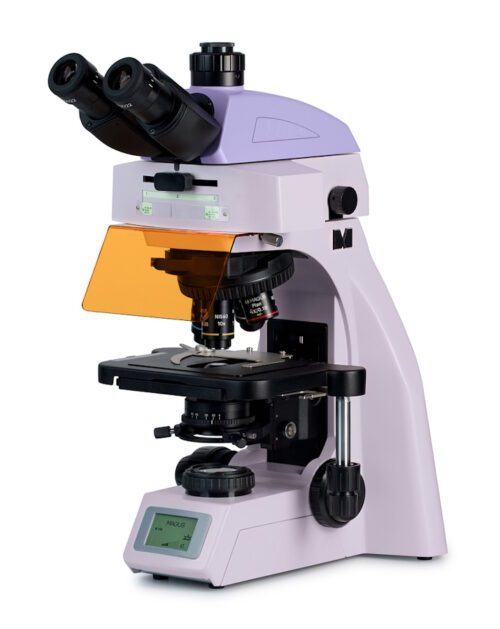 Микроскоп люминесцентный MAGUS Lum 450L, прямой, тринокуляр, СП, ТП, ЛЮМ, ФК, Пол, планахромат 4×, 10×, 40×, 100×МИ