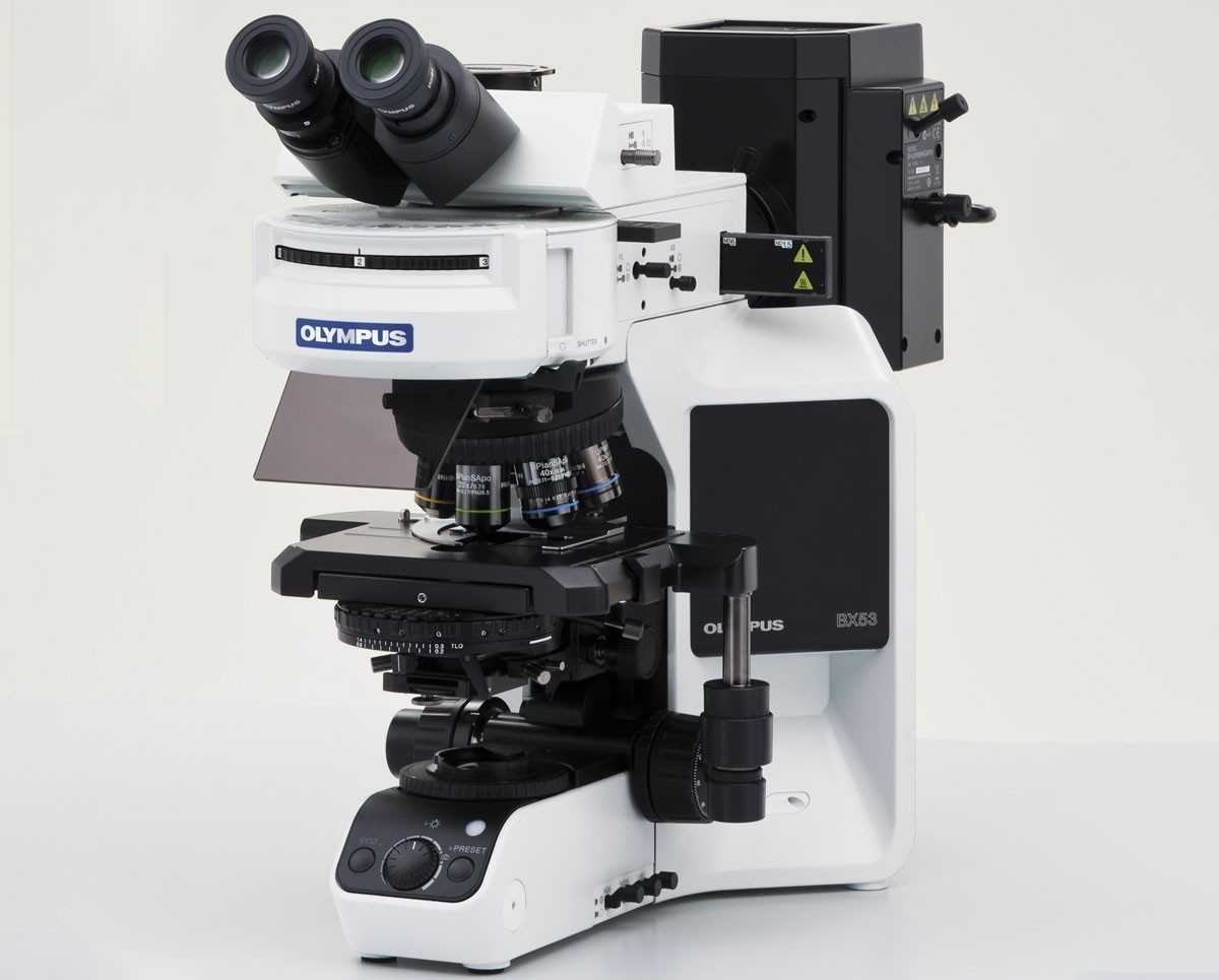 Микроскоп BX-53, прямой, ахромат, СП, ТП, ФК, ДИК, флуоресценция, поляризация, 40x 100x 400x 1000x — изображение 3