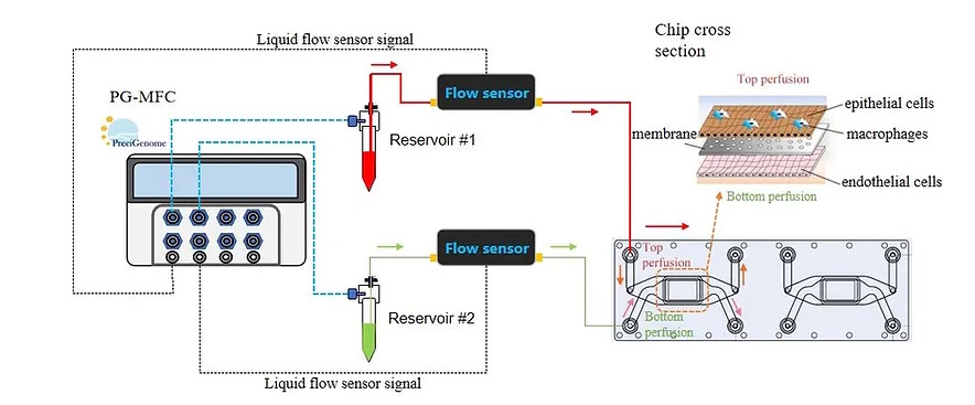 Система перфузии iFlow Organ-on-a-Chip, проточная, многоканальная, контроллер с сенсорным экраном — изображение 4